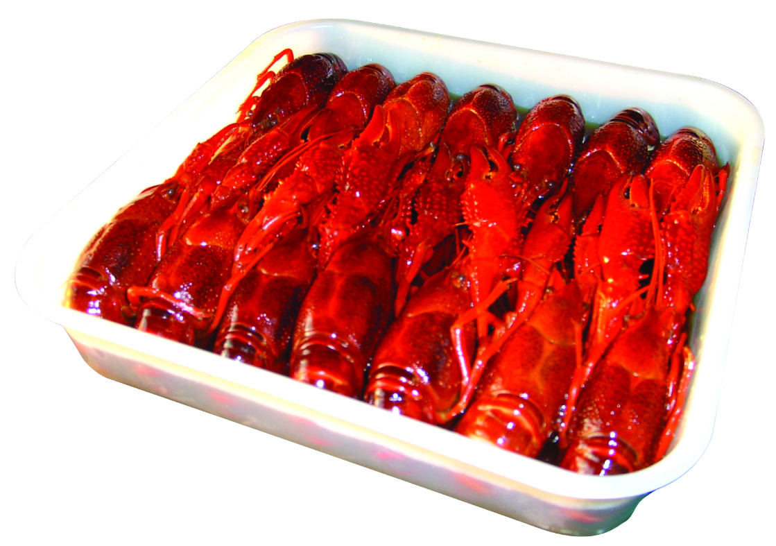 探寻江苏南通特色水产品 茴香整肢龙虾与清水整虾