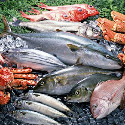 南非冷冻虾仁进口报关指南 水产品进口流程解析