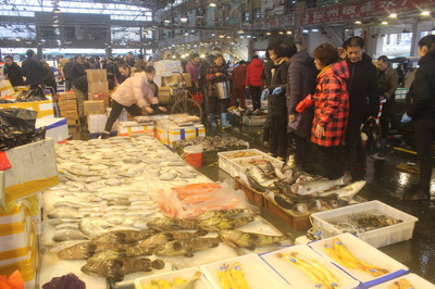 名成集鲜综合水产品交易区首届年货节 水产品盛宴开启