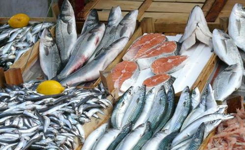 水产品 海洋与河流的馈赠