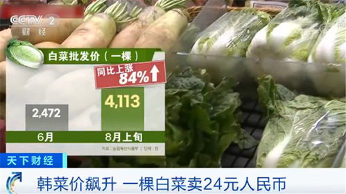 韩国民众叫苦不迭 菜价水产品价格一路飙升，生活压力陡增