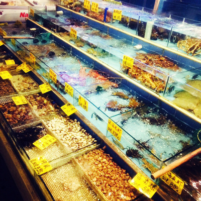 黄沙水产市场寻鲜记 一场关于广州风味的鲜活交易