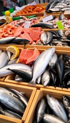 水产品 营养与可持续利用的双重价值